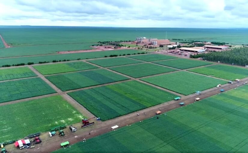 Primeira fazenda a ter tecnologia 5G no Brasil é automatizada pelo sistema GTFrota