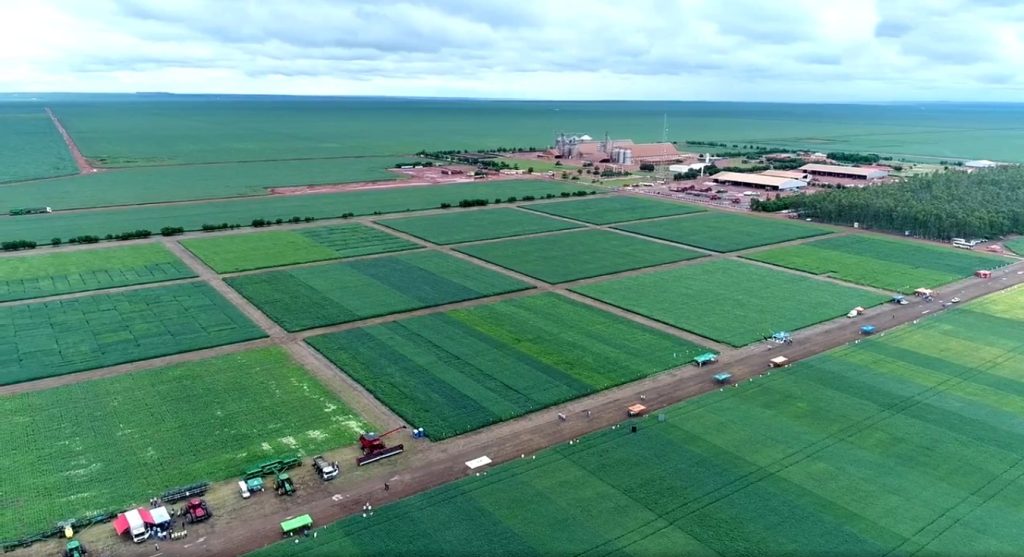 Fazenda Ipê